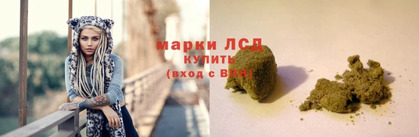 СК Кукмор