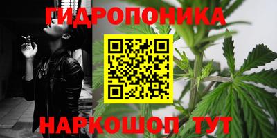 Альфа ПВП Донецк