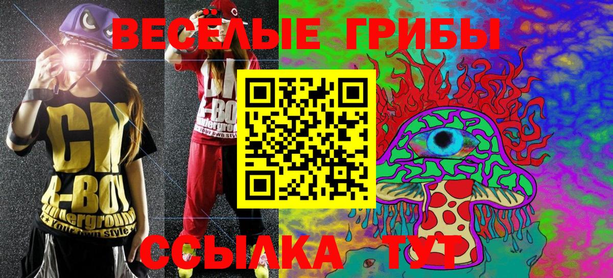 Псков  Псилоцибиновые грибы GOLDEN TEACHER  Вход с VPN  Псилоцибиновые грибы прущие грибы 